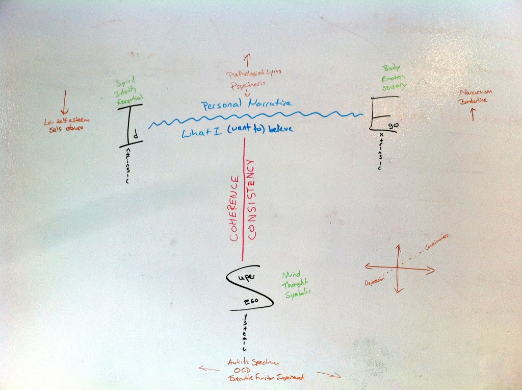 Visualization The Emergent Fool